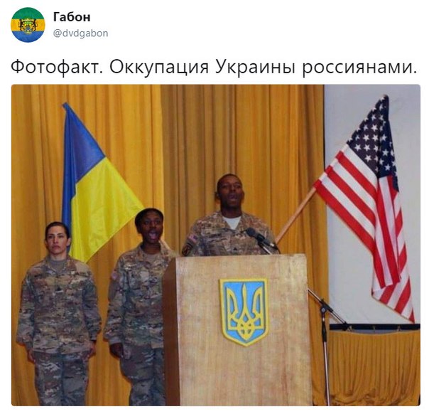 18475934.jpg