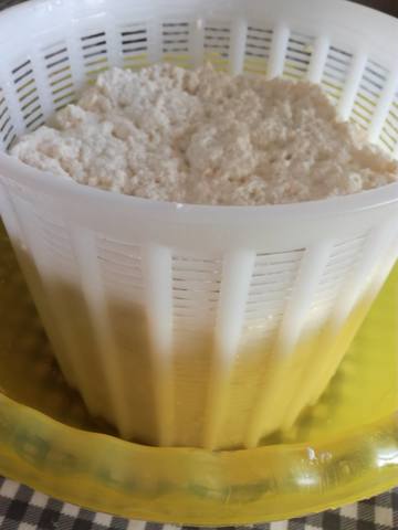 Сырные истории, или Сыроварня дома