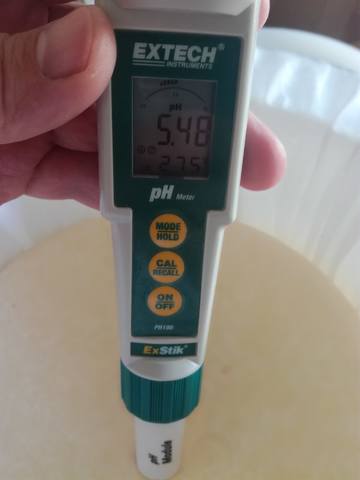 Сырные истории, или Сыроварня дома