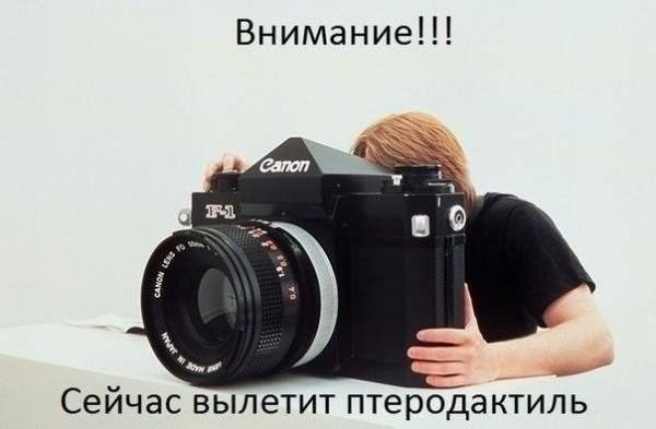http://images.vfl.ru/ii/1506189067/0644bf45/18714019_m.jpg