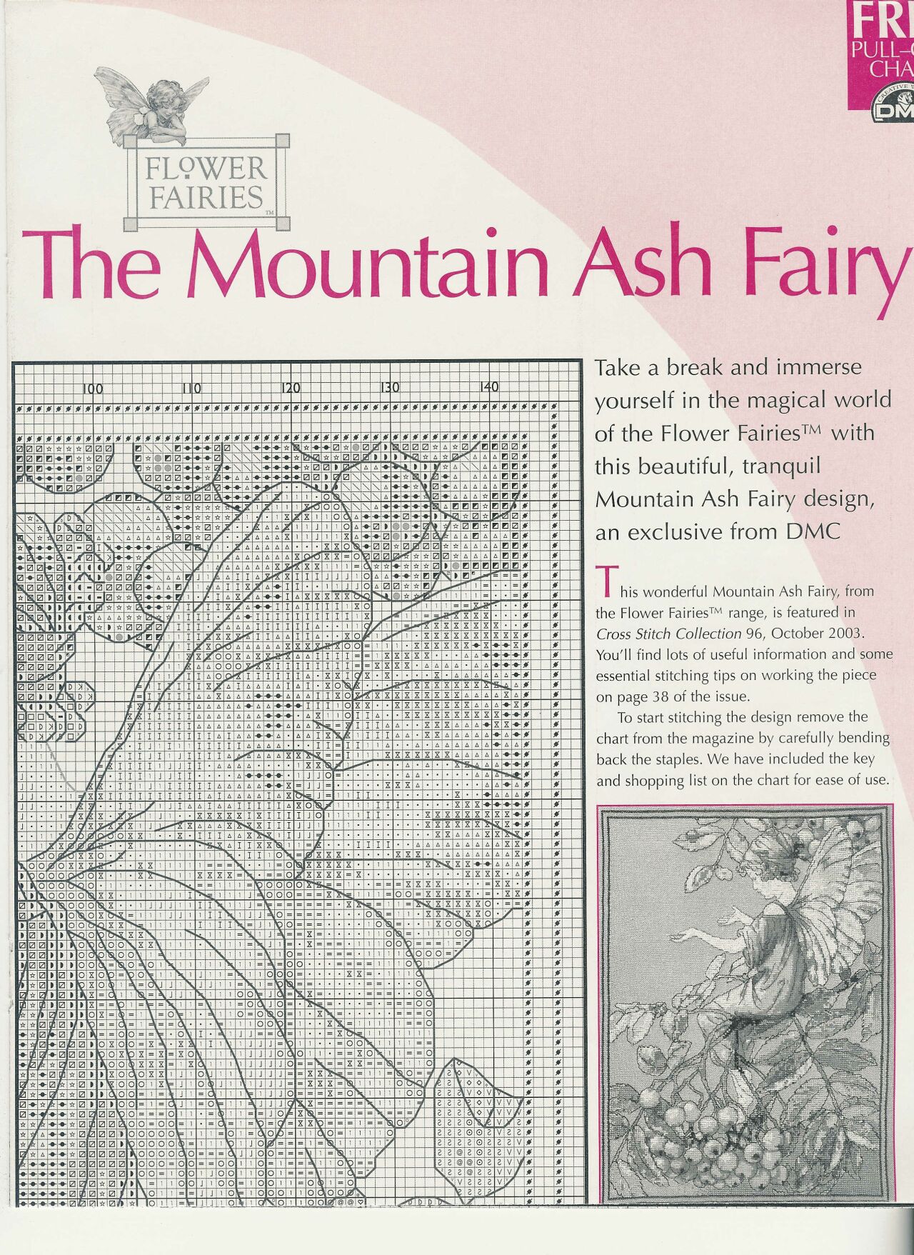 THE MOUNTAIN ASH FAIRY (3)