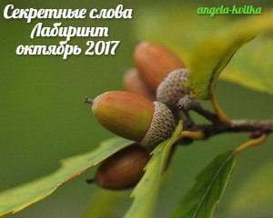 секретные слова лабиринт октябрь 2017 секретные слова лабиринт октябрь 2017
