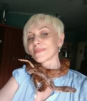 VFL.RU - ваш фотохостинг