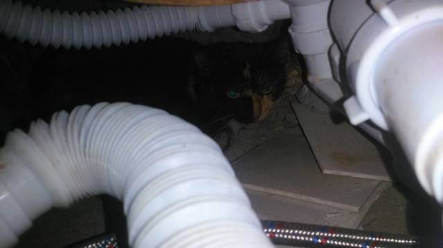 VFL.RU - ��� �����������