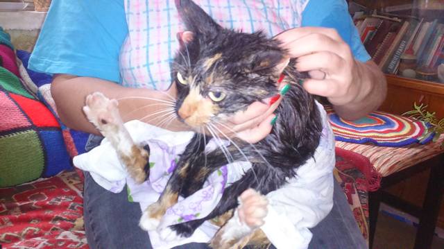 VFL.RU - ��� �����������