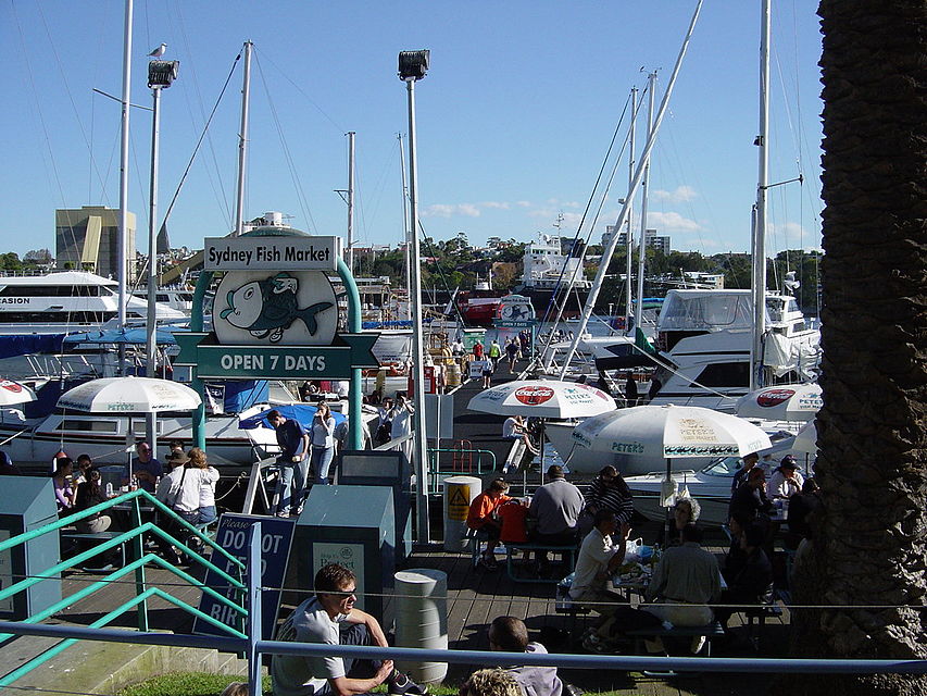 853px-Sydney fish market.jpeg