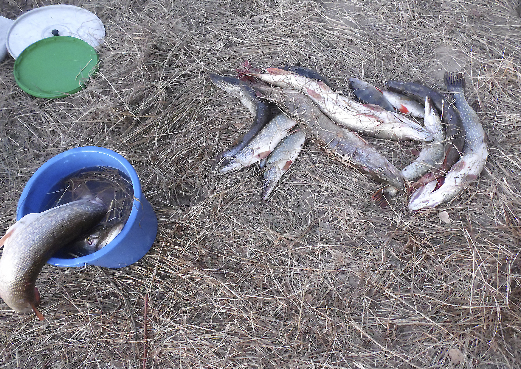 http://images.vfl.ru/ii/1507804506/b66e626c/18964960.jpg