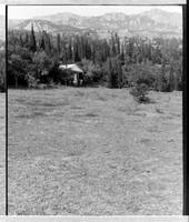 Симеиз. Фото Станюковича 1910-е гг