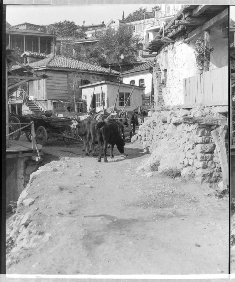 Симеиз. Фото Станюковича 1910-е гг