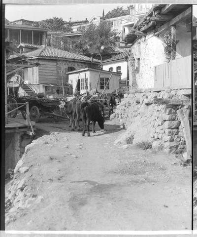 Симеиз. Фото Станюковича 1910-е гг