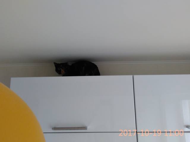 VFL.RU - ��� �����������