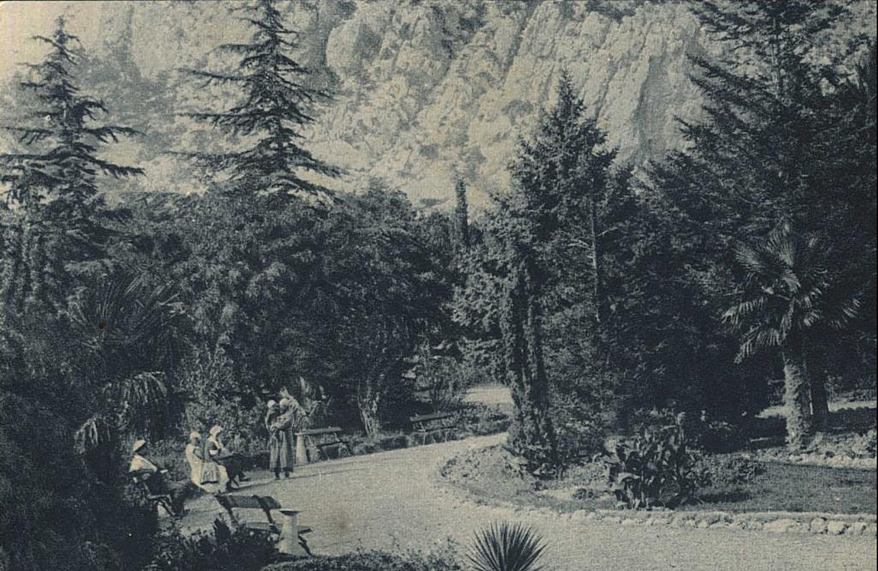 Симеиз. Парк. 1929-1931 гг