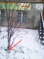 VFL.RU - ваш фотохостинг