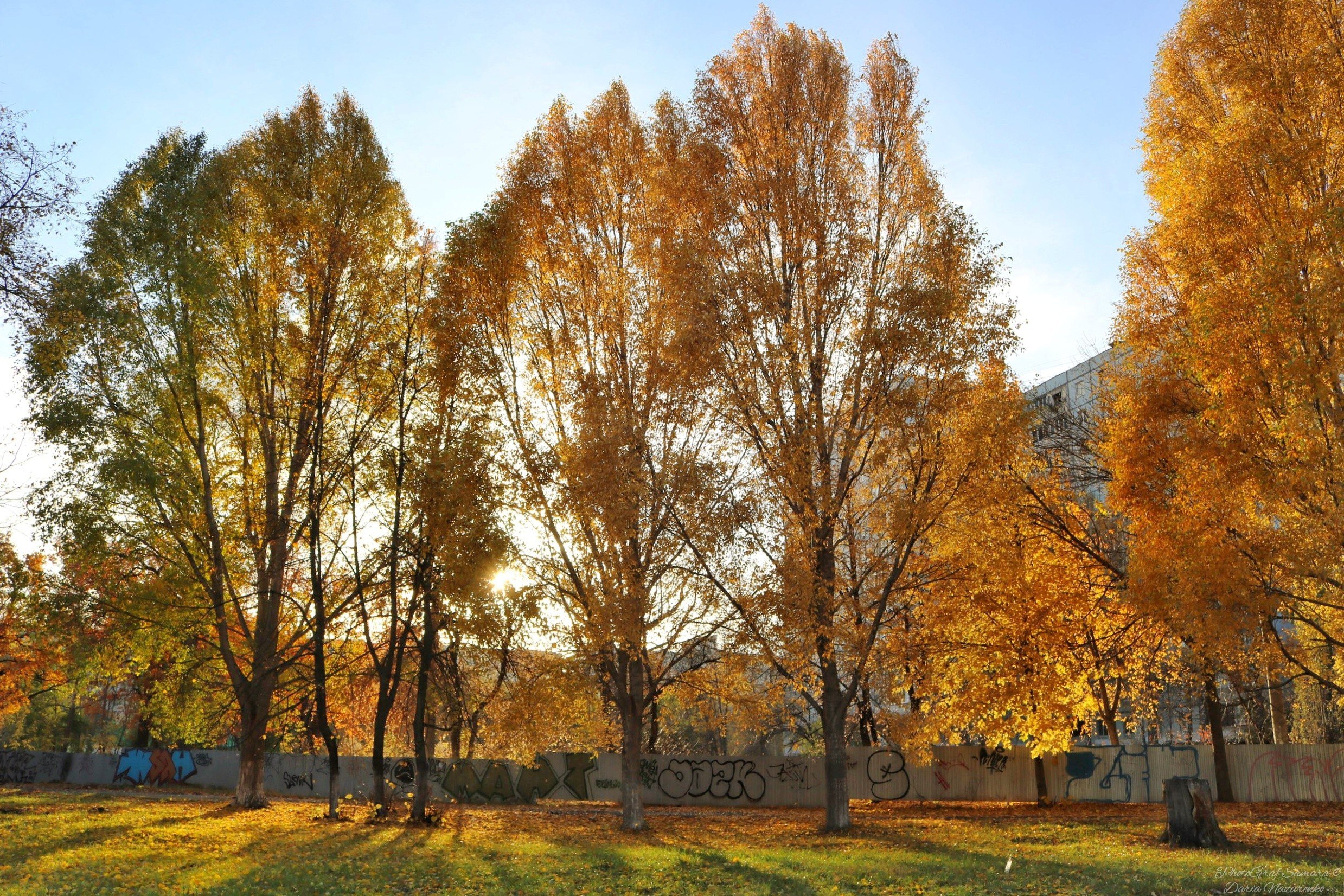 красивые фото осенней самары вечером