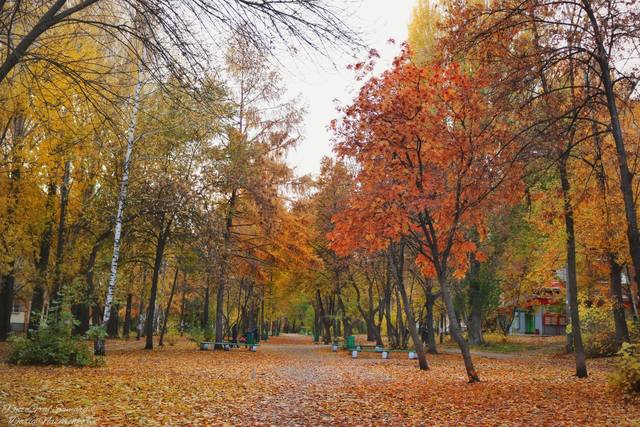 Осень в самаре картинки