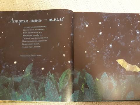 VFL.RU - ваш фотохостинг VFL.RU - ваш фотохостинг
