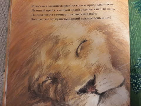 VFL.RU - ваш фотохостинг VFL.RU - ваш фотохостинг