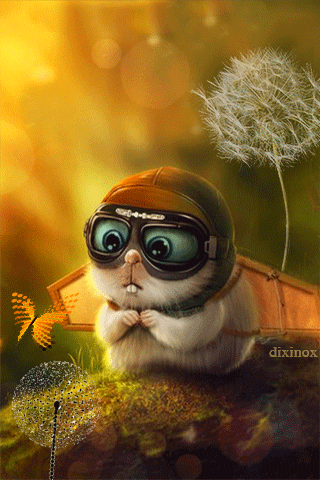 Чайная беседка