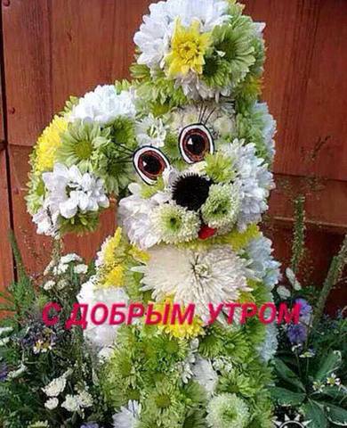 Чайная беседка