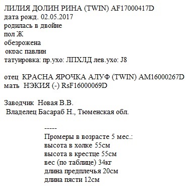 Рина анк liliadolin