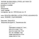 Рина анк liliadolin