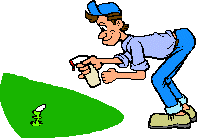 Чайная беседка