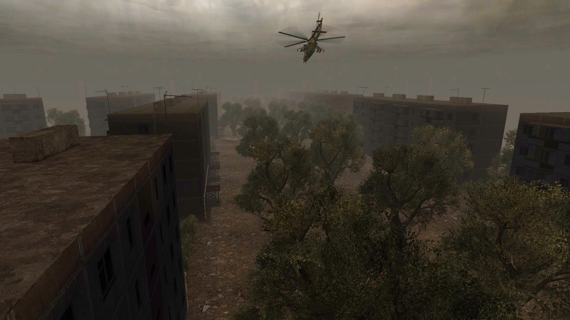 demo image
