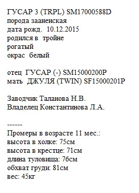 Гусар 3 анк любушка