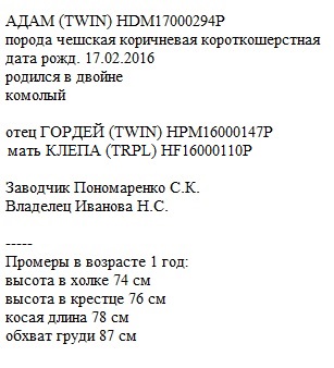 Адам анк Иванова Наталья