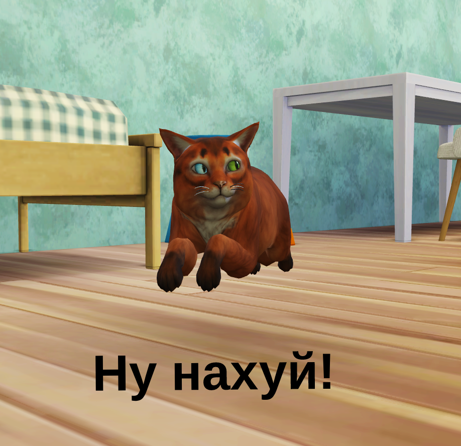 19377313.png