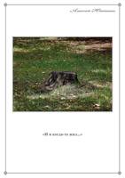 Прогулки с фотиком (2010-2011) 133