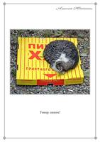 Прогулки с фотиком (2010-2011) 110