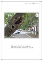 Прогулки с фотиком (2010-2011) 95