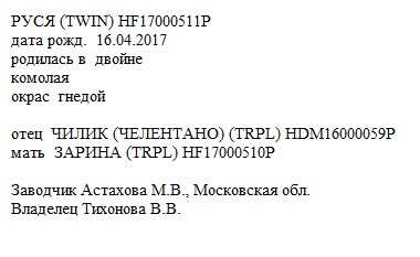 Руся анк Злата