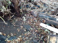 VFL.RU - ваш фотохостинг