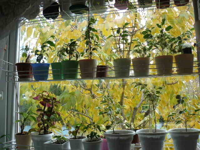 http://images.vfl.ru/ii/1510819107/76e923de/19442831_m.jpg