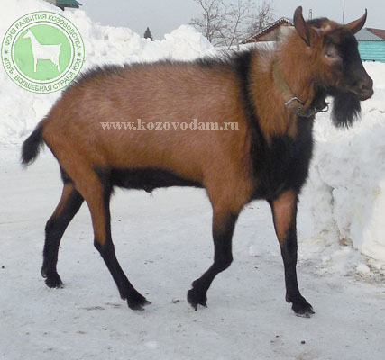 Эрик Екатеринаъ