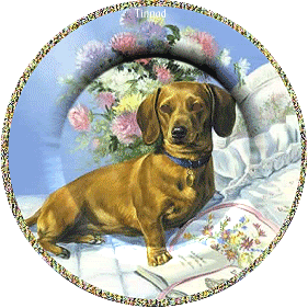 Живой Журнал Жульена