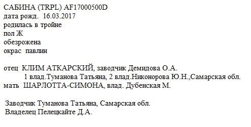 Сабина анк Dasha