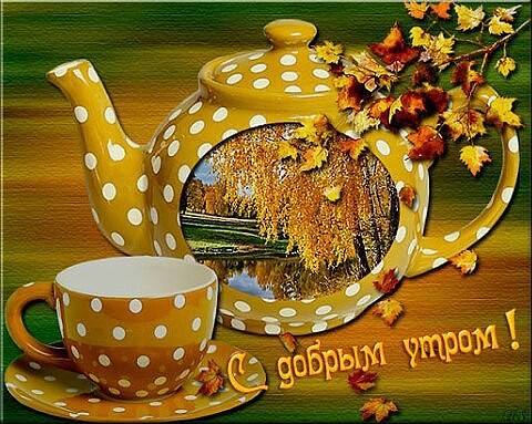 Чайная беседка