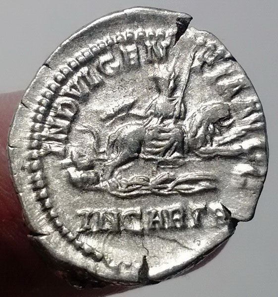 Септимий Север - Целестида на льве4