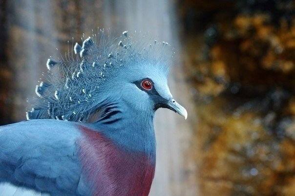http://images.vfl.ru/ii/1513056481/57a9e2da/19775625_m.jpg