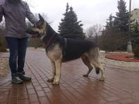 VFL.RU - ваш фотохостинг