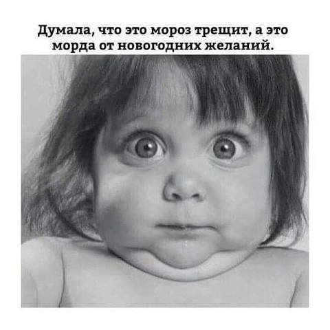 19807392_m.jpg
