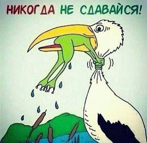 getImage.jpg не сдавайся ! getImage.jpg не сдавайся !