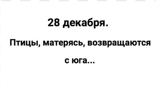 19946158_m.png