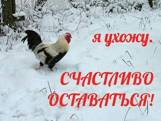  С Наступающим Новым годом 2018