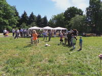 VFL.RU - ваш фотохостинг