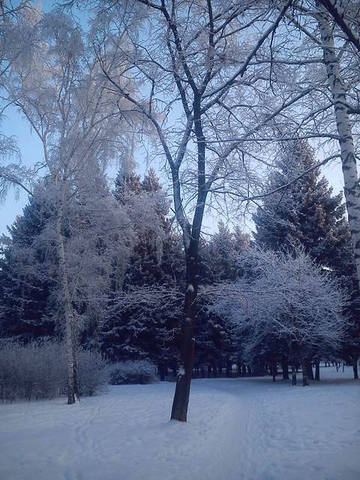20034290_m.jpg