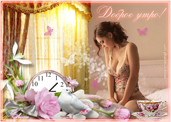 http://images.vfl.ru/ii/1515737554/19567cab/20113615_m.gif